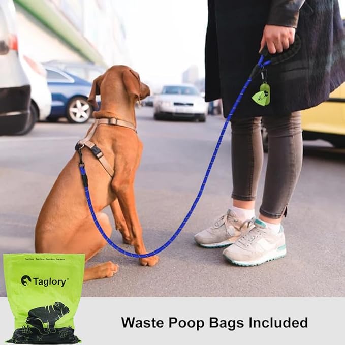 Taglory Rope Dog Leash 4 FT with Comfortable Padded Handle, Highly Reflective Threads Leash for Small Dogs, 3/8 inch, Navyblue