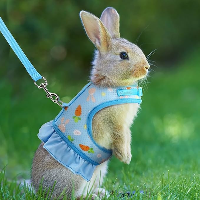Breathable Small Animal Harness Leash & Hat Set - Adjustable Velcro, 3 Colors - Escape-Proof Vest for Bunny, Chinchilla, Guinea Pig, Hamster for All Seasons