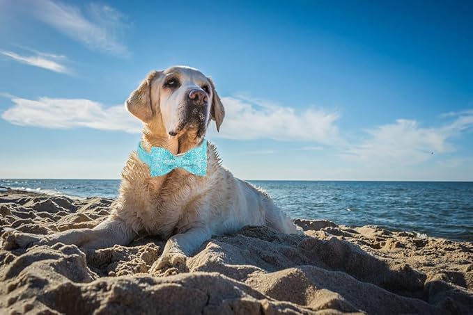 Lionet Paws Dog Collar with Bowtie - Summer Cute Cotton Adjustable Bowtie Dog Cat Collar with Metal Buckle for Puppy Girl Boy, XS, Neck 8-12in