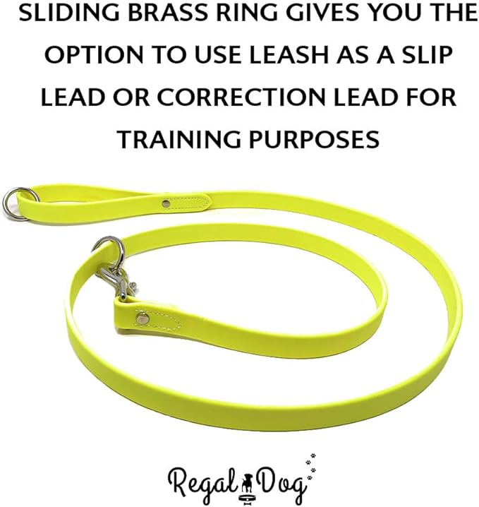 Regal Dog Products Small Yellow Waterproof Dog Collar and Leash Set | Heavy Duty Double Buckle & D Ring - 5'ft Leash | Adjustable Biothane Dog Collar | Chew Resistant Waterproof Collar for Dogs