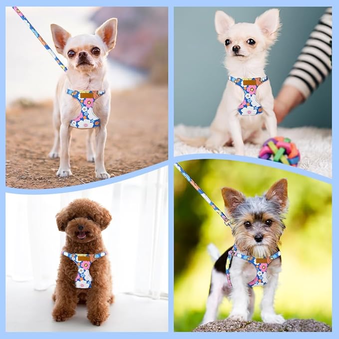 SlowTon No Pull Dog Harness with Leash - Soft Lightweight Floral Pattern Puppy Harness, Adjustable Pet Harness for Small Medium Dogs (Blue Flower M)