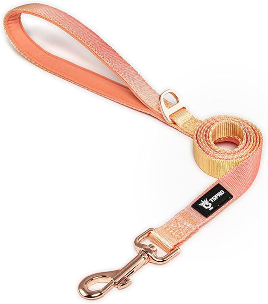 TSPRO Lightweight Dog Leash, Gradient Color Dog Leash, Padded Handle, Durable Dog Leash, Quick Release Metal Buckle, for Small to Medium Dogs Walking (Orange-Yellow Gradient)