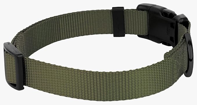 Country Brook Petz - American-Made Dog Collar for Large, Medium, and Small Dogs and Puppies - Deluxe Heavy Duty Nylon in 33 Dazzling Colors (Extra Large, 1 Inch Wide, Dark Olive Drab)