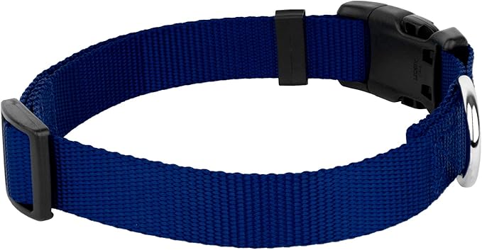 Country Brook Petz - American-Made Dog Collar for Large, Medium, and Small Dogs and Puppies - Deluxe Heavy Duty Nylon in 33 Dazzling Colors (Medium, 3/4 Inch Wide, Royal Blue)