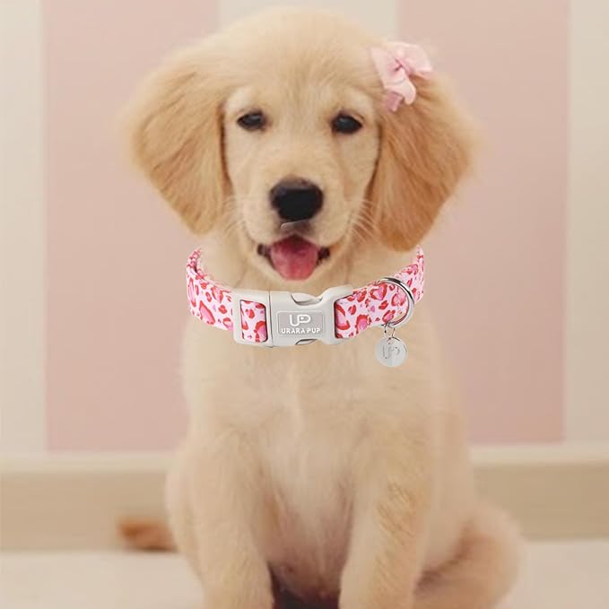 Pink Heart Dog Collar, Adjustable Size (15.35"-23.62"), Valentine's Gift for Puppy Dogs, Wedding Collar