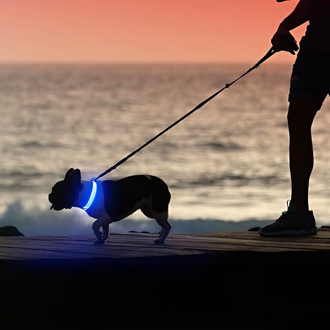 Illumifun LED Dog Collar, Reflective Light Up Collars for Small Dog, USB Rechargeable Pet Collar Light for Dogs Walking Camping (BlueⅢ, Small)