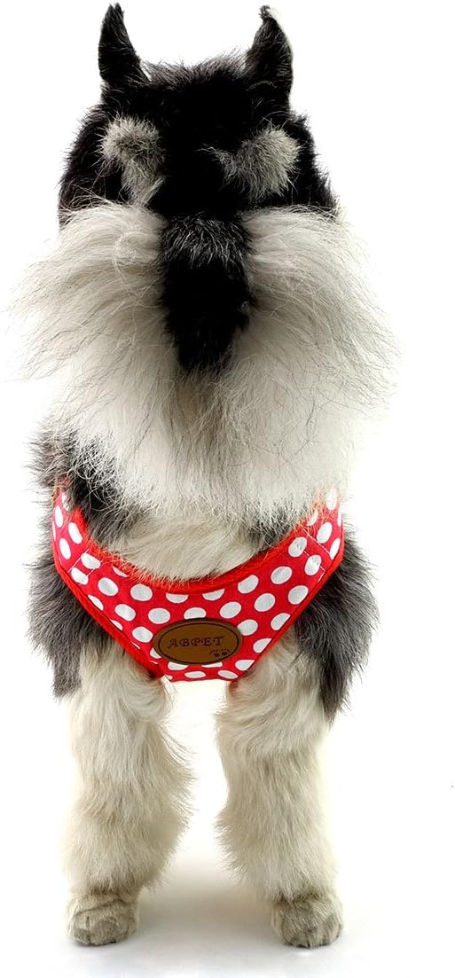SMALLLEE_LUCKY_STORE CWYP00068-Red-S New Soft Mesh Nylon Vest Pet Cat Small Medium Dog Harness Dog Leash Set Leads ,Red , S