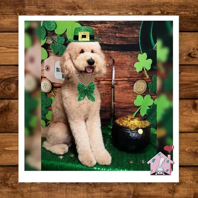 Dog St. Patrick's Day Costume, St Patricks Day Pet Outfit Green Shamrock Hat Bow Tie Collar for Small Medium Large Dogs (Green Buckle)