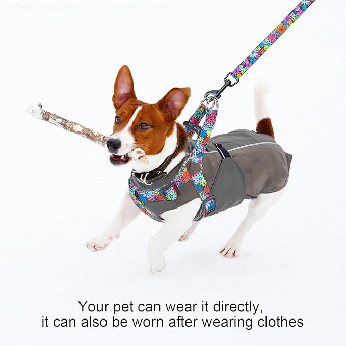 BEAUTYZOO No Pull Dog Harness and Leash Set - Adjustable Step-in Puppy Harness for Small Medium Large Dogs, Escape Proof Soft Nylon Vest with Double D Ring for Walking Running Training, M