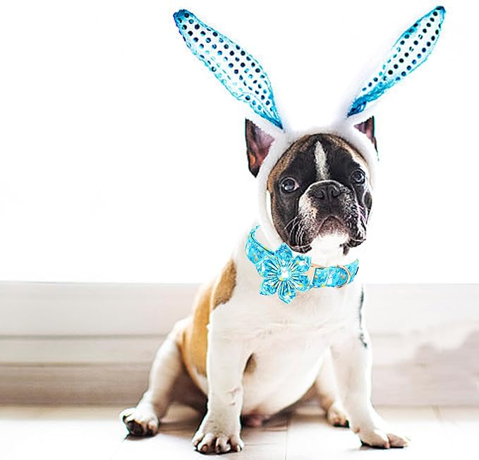Lionheart glory Easter Day Dog Collar with Flower Dog Collar for Medium Dogs, Easter Rabbits Colorful Dog Flower Collars Spring Bunnies Blue Collars Pet Collar Flowers