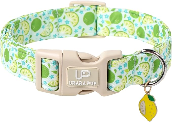 Summer Dog Collar-Refreshing Lime Pet Collars-Adjustable, Comfortable & Durable Puppy Collars for Small, Medium, Large Dogs