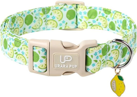 Summer Dog Collar-Refreshing Lime Pet Collars-Adjustable, Comfortable & Durable Puppy Collars for Small, Medium, Large Dogs