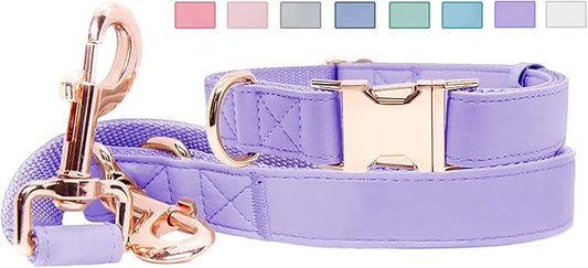 Soft Leather Dog Collar and Leash (6.6') Set - Stylish Rose Gold Heavy Duty Metal Buckle, 4 Adjustable Lengths Leash for Small Medium Large Dogs - Comfortable & Easy to Clean (M, Light Purple)