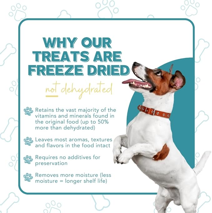 Just Bison Liver Freeze Dried Dog Treats USA Sourced and Small Batch Made - Human-Grade, All Natural Single Ingredient Dog Treat Without Artificial Preservatives, Grain Free - 2.5 oz