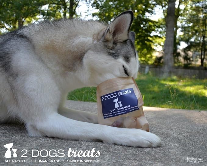 Just Chicken Jerky | 100% USA-Sourced, Single-Ingredient, Great for Sensitive Stomachs, Human-Grade USDA Chicken, Grain-Free, Allergy-Friendly, High Value for Training | 2 Pack