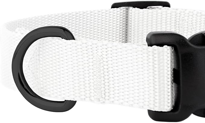 Country Brook Petz - American-Made Dog Collar for Large, Medium, and Small Dogs and Puppies - Deluxe Heavy Duty Nylon in 33 Dazzling Colors (Extra Large, 1 Inch Wide, White)