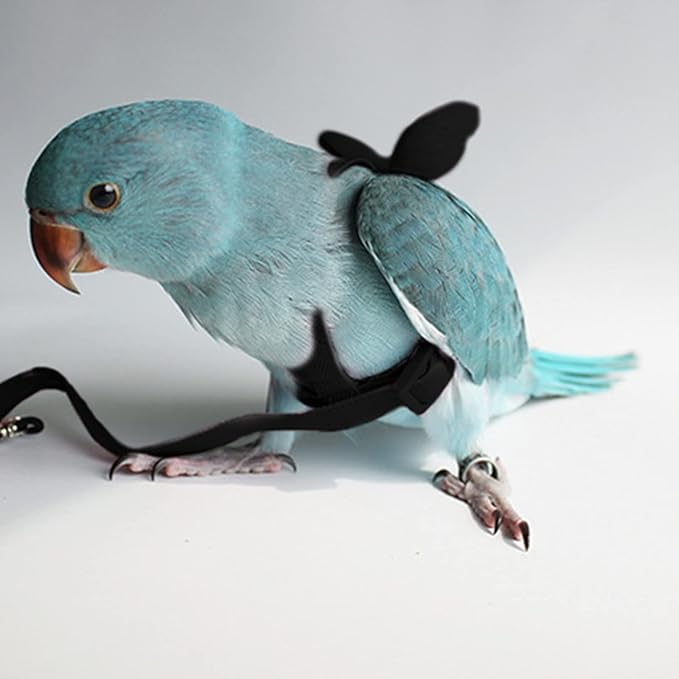 Peony Harness and Leash, Adjustable Parrot Bird Training Design Anti-Bite, Bird Nylon Rope with Cute Wing for Peony Parrot and Same Size Birds (M, Black)