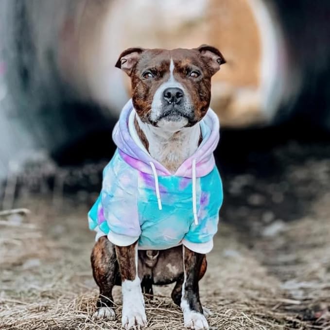 Spark Paws Dog Hoodie - Premium Quality, Buttery Soft, Superior Comfort and Fit, Calming Fleece Interior, Suitable for All Breeds - 90s Retro Sky Dye - 2XL