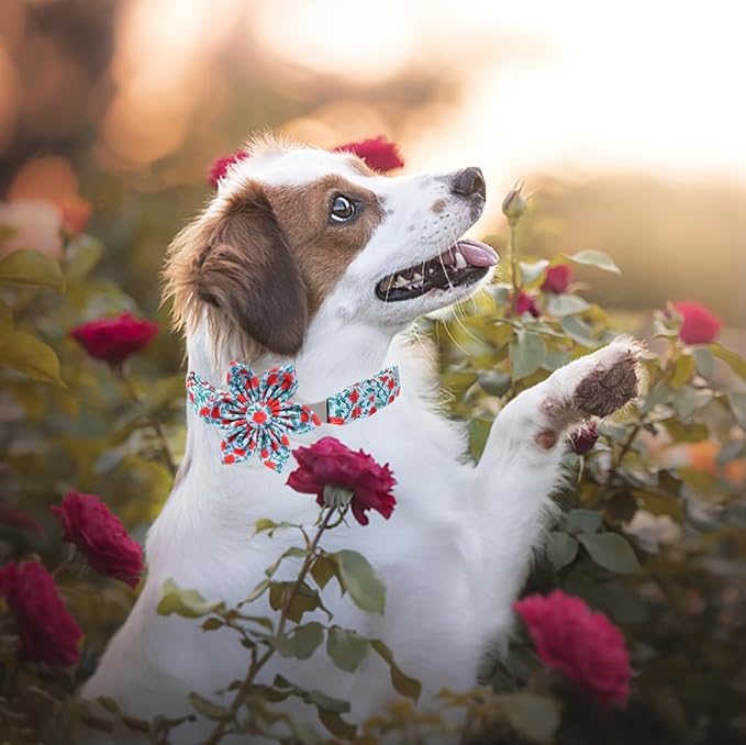 Lionet Paws Design Dogs Collar Cute Adjustable Flower Dog Collars for Girl Female Medium Large Dogs with Rose XL
