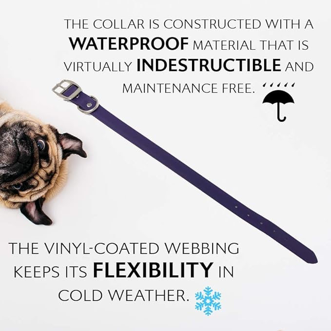 Regal Dog Products Small Purple Waterproof Dog Collar and Leash Set | Heavy Duty Double Buckle & D Ring - 5'ft Leash | Adjustable Biothane Dog Collar | Chew Resistant Waterproof Collar for Dogs