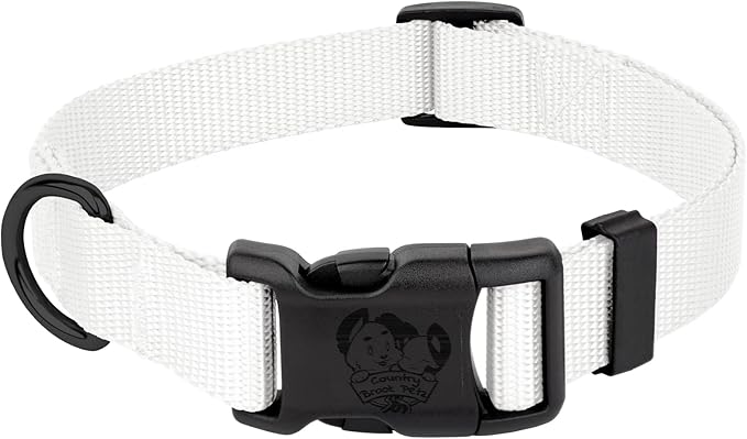 Country Brook Petz - American-Made Dog Collar for Large, Medium, and Small Dogs and Puppies - Deluxe Heavy Duty Nylon in 33 Dazzling Colors (Extra Large, 1 Inch Wide, White)