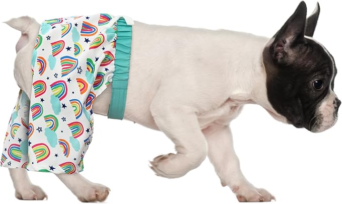 HDE Dog Swim Trunks Hawaiian Board Shorts Beach Pool Swimsuit for XS to XXL Dogs Rainbows - M