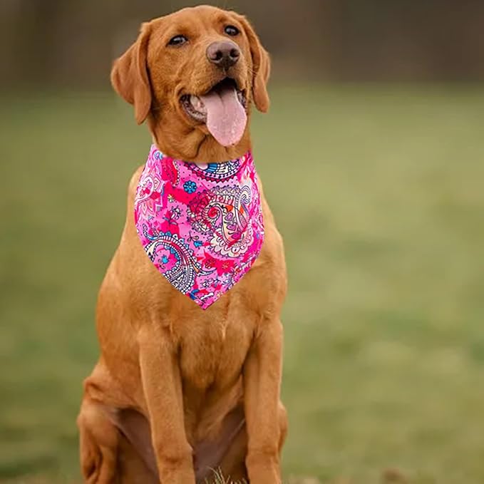 30 Pack Paisley Dog Bandanas Bulk 33 Inche Extral Large XL Dogs Breed Bandanas Adjustable Polyester Print One Side Triangle Bandana Girl Boy Grooming L
