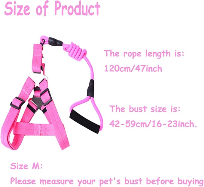 Animal Harness, Medium, Pink and Blue - 2 Pieces Adjustable Harness with Leash Set for Small Pig, Dog, Rabbit Walking, Running and Playing