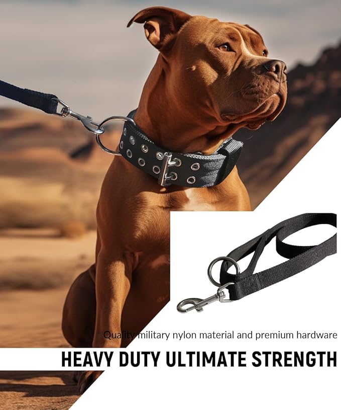 Large Dog Collar and Leash Set- Black Heavy Duty Collar and Leash for Gaint Breed Dogs, 2in Wide with Handle Collar and 5 ft Leash, Strong Nylon and Stainless Hardware, 17"-22"