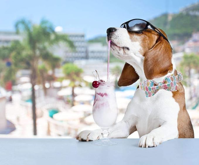 Unique style paws 1PCS Dog Bandanas Washable Cotton Square Bibs Sarf, Adjustable Dog Kerchief for Small Medium Large Dogs and Cats-S