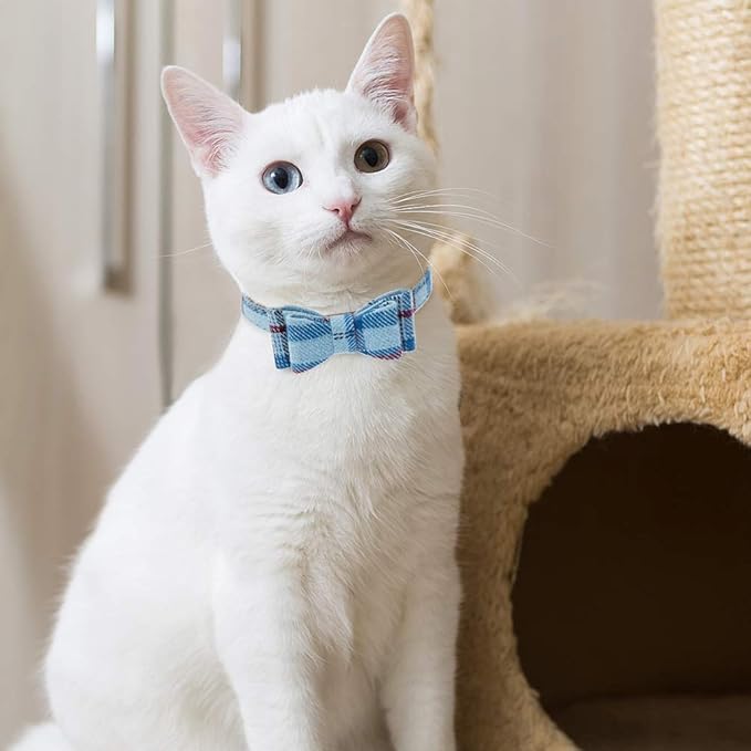 EXPAWLORER Dog Collar and Leash Set - Pawprint Plaid Collar with Bow Tie and Bell, Cute for Dogs and Cats, Blue S-M