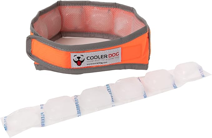 Hi-Vis Dog Cooling Collar - Orange Reflective Re-Freezable Ice Collar (Medium)