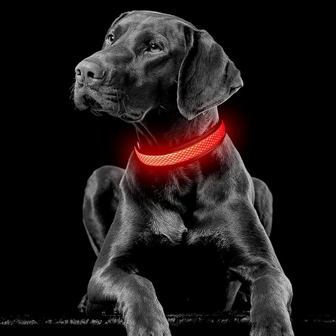 YFbrite Light up Dog Collar, USB Rechargeable LED Puppy Collar Super Bright Adjustable Glowing Dog Lights for Night Walking (Red, Small)
