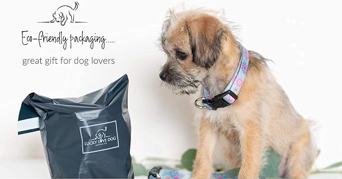 Lucky Love Dog, Boho Chic Matching Dog Collar and Leash Set, Vivid Pink and Turquoise Collar and Leash for Dogs, Soft, Adjustable, Safe for Training and Walking - (Small, Clara Combo)