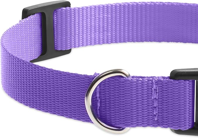 Replacement Collar for Shock Collar, Stylish & Comfortable Nylon Dog Collar with Quick Release Buckle, Compatible with PetSafe Bousnic Sportdog Garmin E Collar Replacement Strap(Purple & Black)