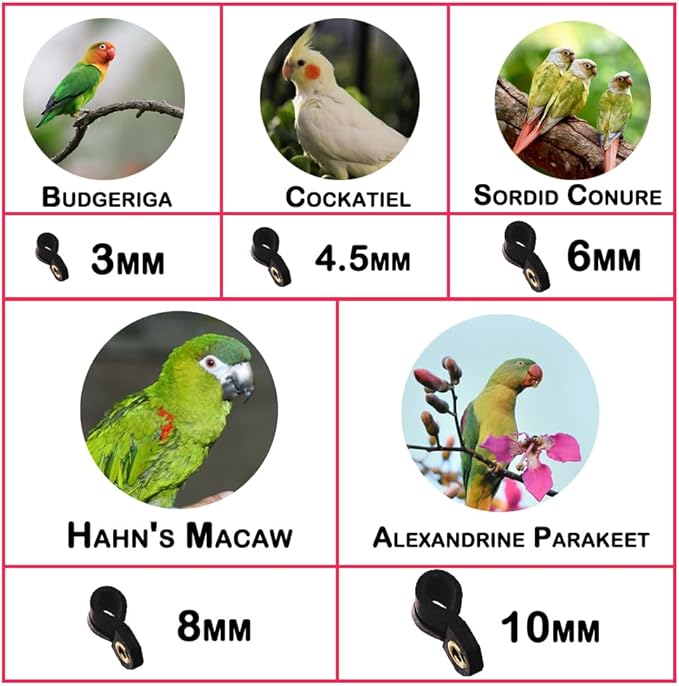 Parrot Bird Harness Leash Anti-bite Outdoor Flying Training Rope with 5pcs Different Sizes of Soft Foot Loops and Training Whistle(Upgraded Version of Ankle Ring)