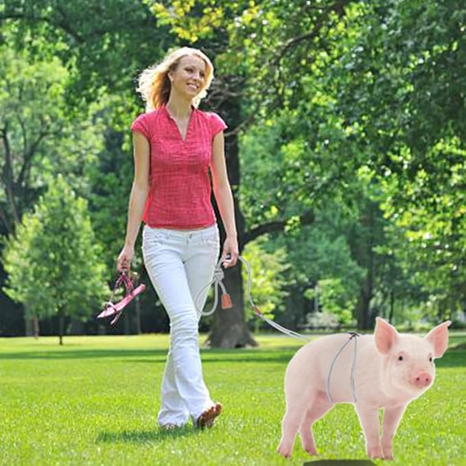 Pig Harness & Leash, Escape Prevention Adjustable Rope, All in One Design, All Life Stages Small to Medium Mini Pigs-5 Feet Long-Red