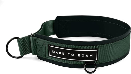 MADE TO ROAM Premium Everyday Dog Collar - Martingale Style No Pull Vegan Leather Collar, Heavy Duty and Lightweight for Small, Medium, Large Dogs (Maine Marina, Size 3)