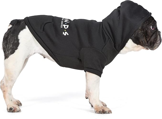 WB Friends Dog Hoodie, Black with Friends Logo, Size Medium with Hood and Pocket for Treats or Waste Bags | Friends Show Pet Products| Pet Clothes for Friends Lovers (FF20719)