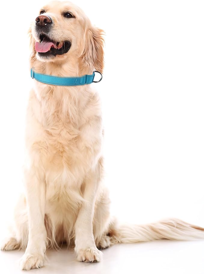 SGODA Martingale Dog Collar, Reflective Nylon Padded Dog Training Collars for Small Dogs, Red S