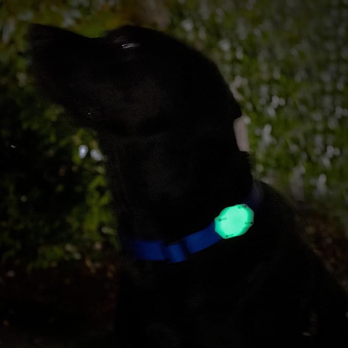 Elevation Lab TagVault AirTag Dog Collar Mount (Pack of 2), IP68 Waterproof, Doesn't Dangle, Fits All Width Collars, Elevation Lab - Glow in The Dark