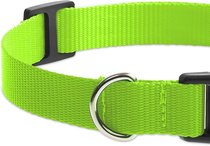 Replacement Collar for Shock Collar, Stylish & Comfortable Puppy Collar 2 Pack for Boy & Girl, Compatible with PetSafe Bousnic Sportdog Garmin Trainers for Small Medium Large Dogs (Green & Red)
