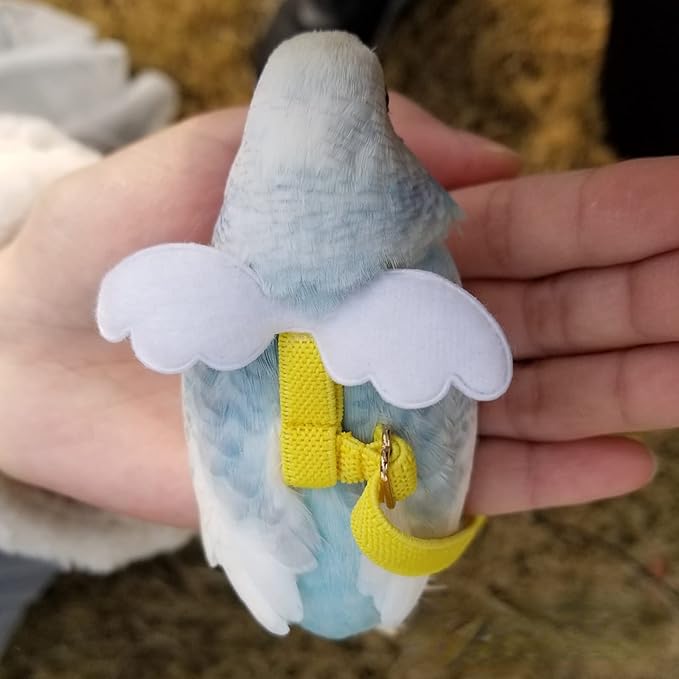 Pet Parrot Bird Harness Leash Adjustable Bird Flying Harness Traction Rope with Cute Wing for Parrots Pigeons Budgerigar Lovebird Cockatiel Mynah Outdoor Training Toy (M, Blue)