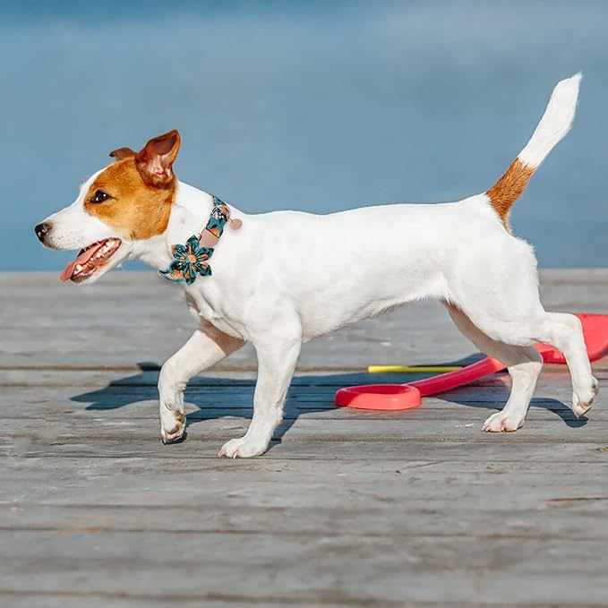 Dog Collar with Flower, Durable Comfortable Cotton Dog Flower Collar with Metal Buckle for X-Large Dog Girl, Summer Cute Dog Collar, XL