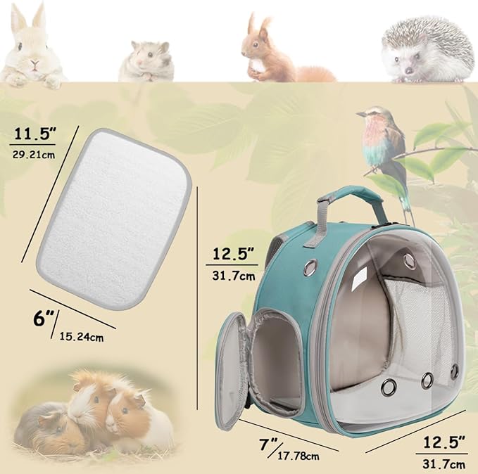 Lizard Carrier Backpack with Security Printing Harness Leash Set, Reptile Bearded Dragon Space Capsule Astronaut Clear Bubble Window Travel Carrier for Small Animal Guinea Pig(Green, Security Harness)
