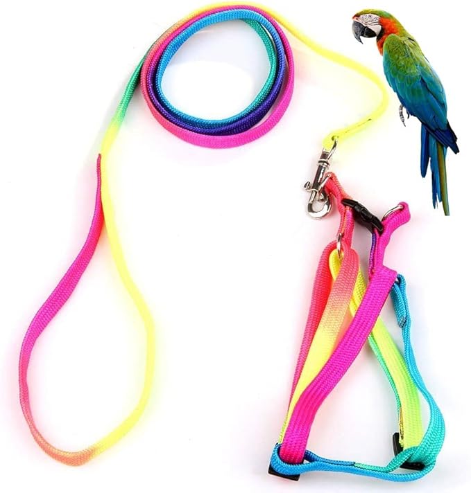 Hypeety Pet Bird Harness and Leash with Buckle Adorable Rainbow Design Safe Parrot Leash Pet Harness Outdoor Adjustable Anti Bite Training Rope for Macaw Large Size Bird (1cm × 47.24in)