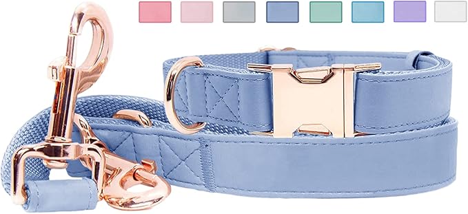 Soft Leather Dog Collar and Leash (6.6') Set - Stylish Rose Gold Heavy Duty Metal Buckle, 4 Adjustable Lengths Leash for Small Medium Large Dogs - Comfortable & Easy to Clean BluePurple M(13.8"-19.7")