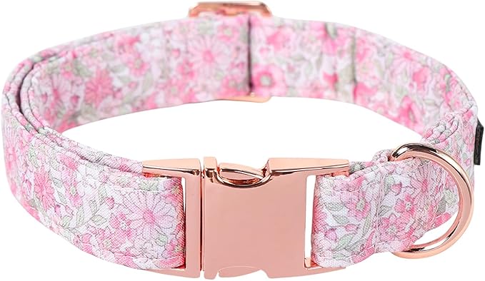 Lionet Paws Floral Dog Collar, Heavy-Duty Cute Pink Flower Collar with Metal Buckle for Male Female Puppies,Spring Pink Flower, Medium, Neck 13.5-22 inches