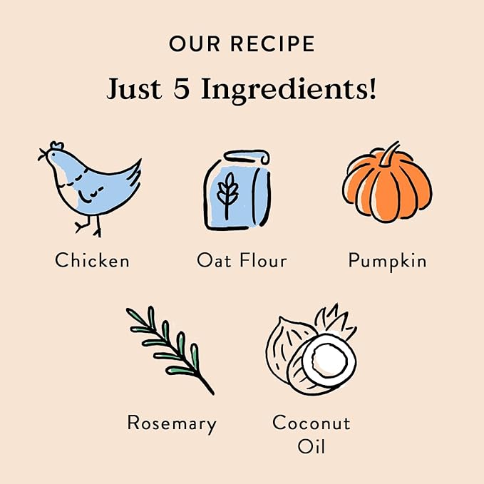 Bocce's Bakery Oven Baked Chicken Recipe Treats for Dogs, Wheat-Free Dog Treats, Made with Real Ingredients, Baked in The USA, All-Natural Chicken, Pumpkin & Rosemary Biscuits, 14 oz