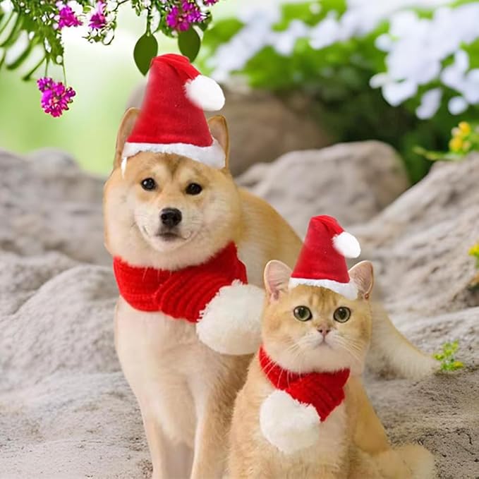 ANIAC Cat Santa Hat with Scarf Dog Xmas Cap Puppy Christmas Costume Pet Warm Headgear Doggy Neck Accessories for Cats and Small Dogs(Small)